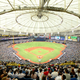 Illustration for article titled Rays Announce They're Getting Rid Of Their Cheapest Seats